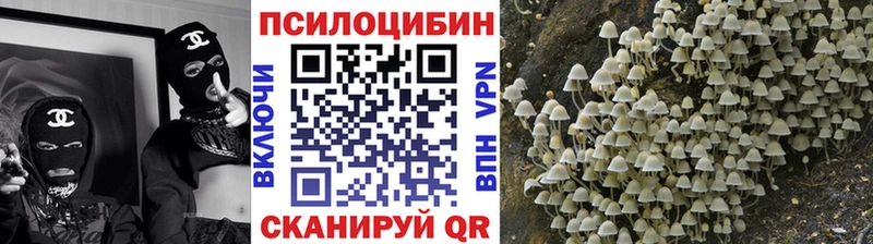 Галлюциногенные грибы GOLDEN TEACHER  Нарьян-Мар 